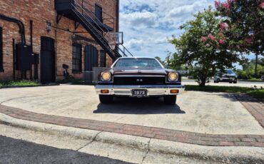 Chevrolet-Chevelle-ss-1973-Brown-metallic-metal-Beige-96