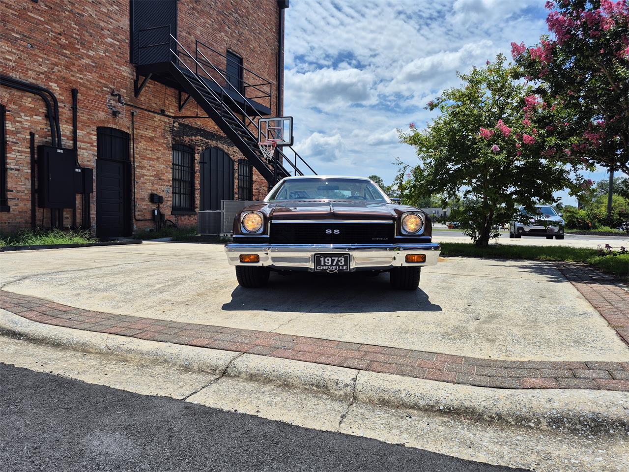 Chevrolet-Chevelle-ss-1973-Brown-metallic-metal-Beige-96