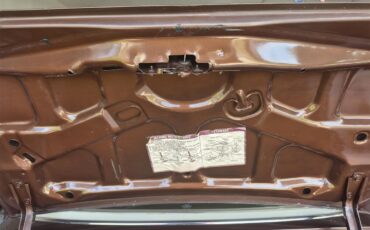 Chevrolet-Chevelle-ss-1973-Brown-metallic-metal-Beige-98