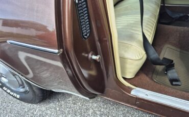 Chevrolet-Chevelle-ss-1973-Brown-metallic-metal-Beige-99
