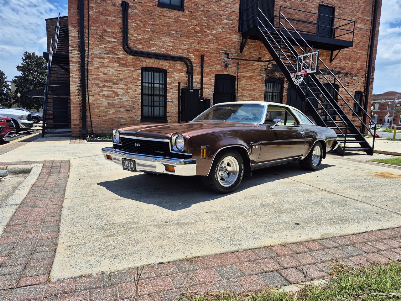 Chevrolet-Chevelle-ss-1973-Brown-metallic-metal-Beige