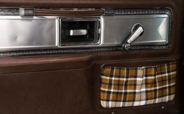 Chevrolet-Cheyenne-1978-Dark-Brown-Metallic-14