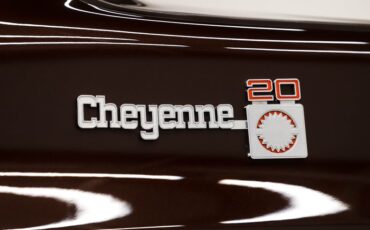 Chevrolet-Cheyenne-1978-Dark-Brown-Metallic-16