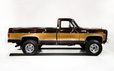 Chevrolet-Cheyenne-1978-Dark-Brown-Metallic-20