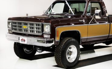 Chevrolet-Cheyenne-1978-Dark-Brown-Metallic-23
