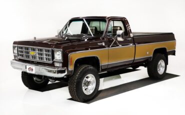 Chevrolet-Cheyenne-1978-Dark-Brown-Metallic-26