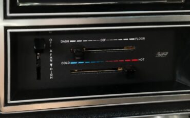 Chevrolet-Cheyenne-1978-Dark-Brown-Metallic-30