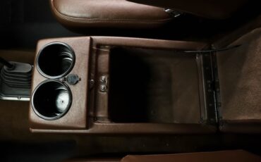 Chevrolet-Cheyenne-1978-Dark-Brown-Metallic-36