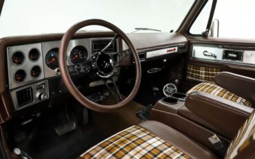 Chevrolet-Cheyenne-1978-Dark-Brown-Metallic