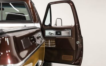 Chevrolet-Cheyenne-1978-Dark-Brown-Metallic-40