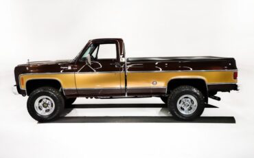 Chevrolet-Cheyenne-1978-Dark-Brown-Metallic-42