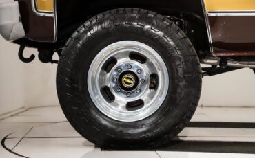 Chevrolet-Cheyenne-1978-Dark-Brown-Metallic-49