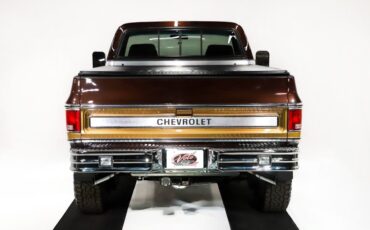 Chevrolet-Cheyenne-1978-Dark-Brown-Metallic-6