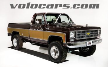 Chevrolet-Cheyenne-1978-Dark-Brown-Metallic-8
