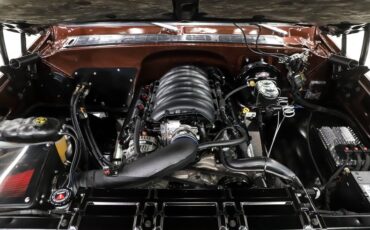 Chevrolet-Cheyenne-1978-Dark-Brown-Metallic-9