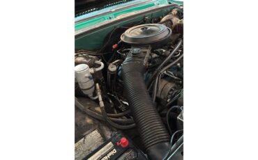 Chevrolet-Cheyenne-1979-Shamrock-Green-Black-14