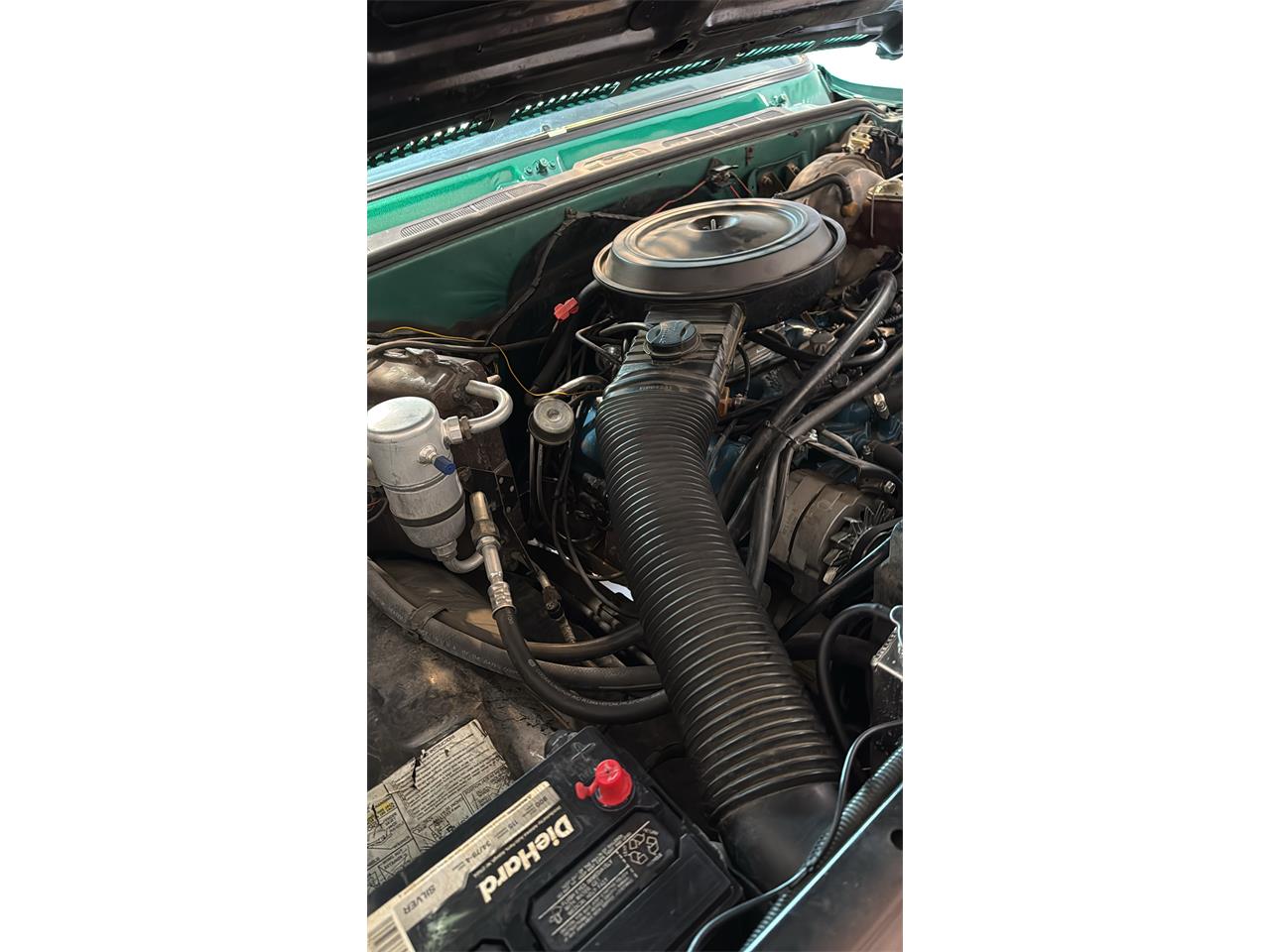 Chevrolet-Cheyenne-1979-Shamrock-Green-Black-14