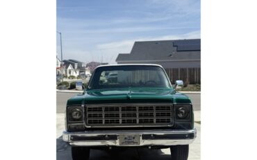 Chevrolet-Cheyenne-1979-Shamrock-Green-Black-3