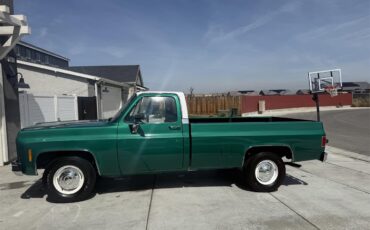 Chevrolet-Cheyenne-1979-Shamrock-Green-Black