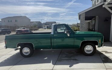 Chevrolet-Cheyenne-1979-Shamrock-Green-Black-4