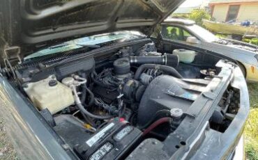 Chevrolet-Cheyenne-1989-Gray-9