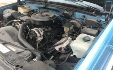 Chevrolet-Ck-1500-1995-Blue-Blue-12