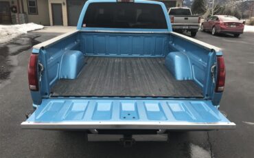 Chevrolet-Ck-1500-1995-Blue-Blue-18