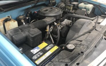 Chevrolet-Ck-1500-1995-Blue-Blue-29
