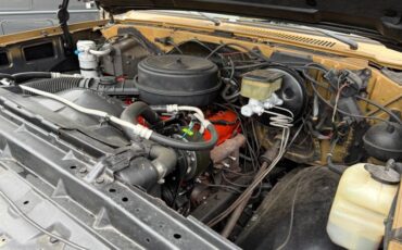 Chevrolet-Ck-1984-Black-Black-33