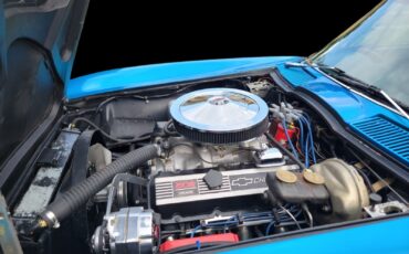 Chevrolet-Corvette-1965-Coupe-19