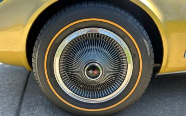 Chevrolet-Corvette-1969-Convertible-21