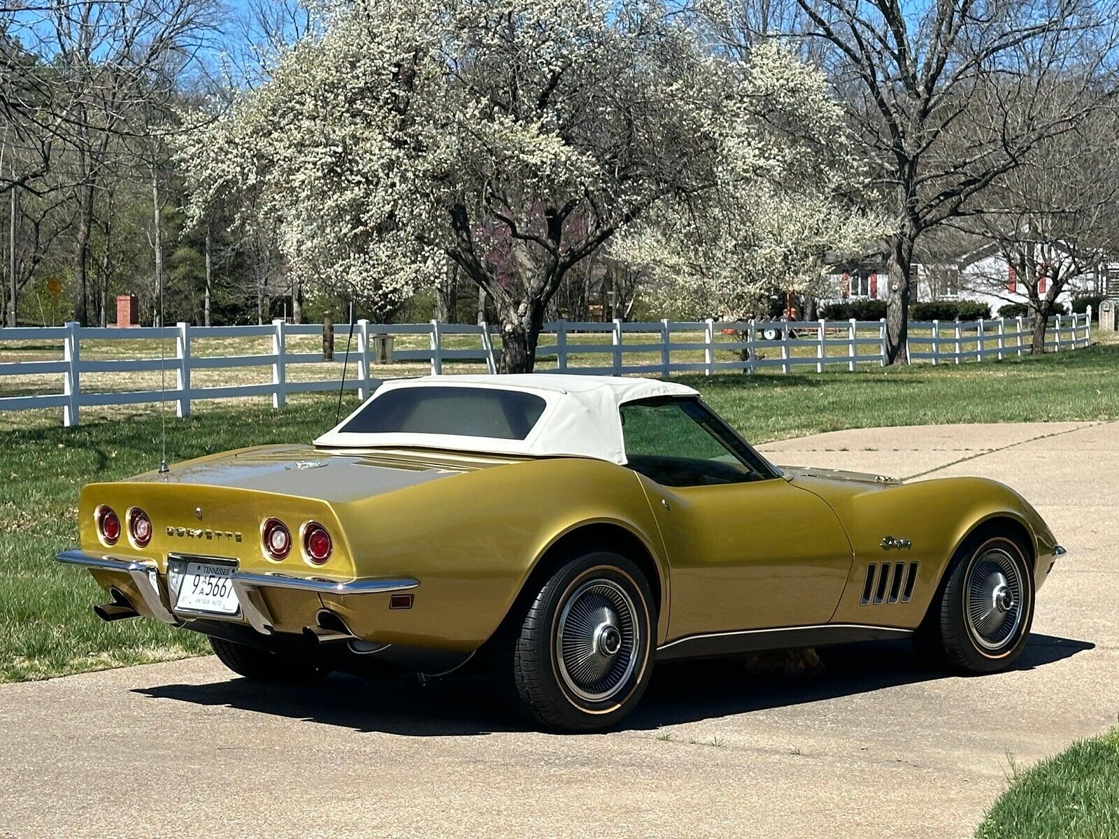 Chevrolet-Corvette-1969-Convertible-9