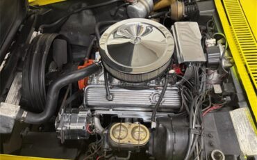 Chevrolet-Corvette-1971-Yellow-BLACK-16