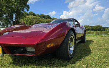 Chevrolet-Corvette-1974-10