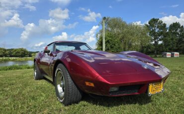 Chevrolet-Corvette-1974-21