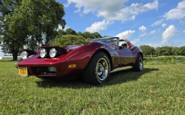 Chevrolet-Corvette-1974-30