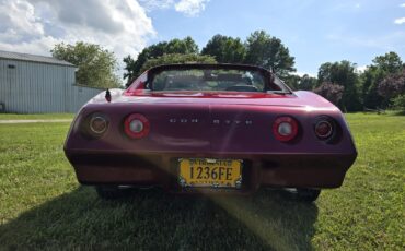 Chevrolet-Corvette-1974-33