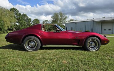 Chevrolet-Corvette-1974-35
