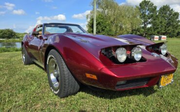 Chevrolet-Corvette-1974-36