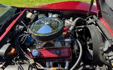 Chevrolet-Corvette-1974-Dark-Red-Tan-13