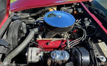 Chevrolet-Corvette-1974-Dark-Red-Tan-14