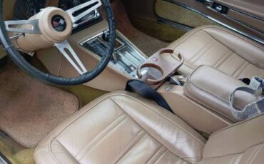 Chevrolet-Corvette-1975-11