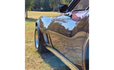 Chevrolet-Corvette-1975-BURGUNDY-WINE-PEARL-OXBLOOD-RED-BURGUNDY-1