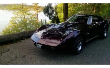 Chevrolet-Corvette-1975-BURGUNDY-WINE-PEARL-OXBLOOD-RED-BURGUNDY-10