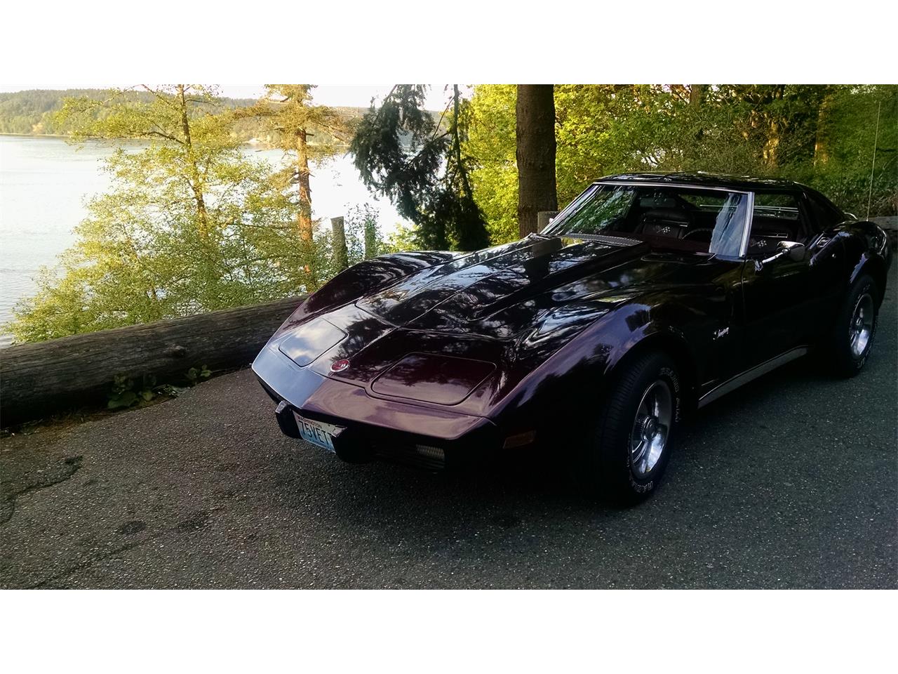 Chevrolet-Corvette-1975-BURGUNDY-WINE-PEARL-OXBLOOD-RED-BURGUNDY-10