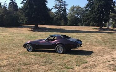 Chevrolet-Corvette-1975-BURGUNDY-WINE-PEARL-OXBLOOD-RED-BURGUNDY-26