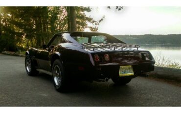 Chevrolet-Corvette-1975-BURGUNDY-WINE-PEARL-OXBLOOD-RED-BURGUNDY-30