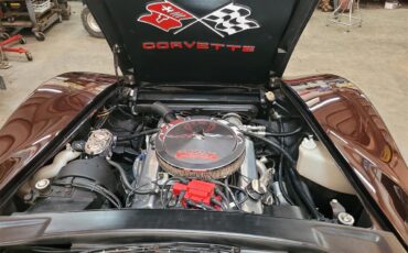 Chevrolet-Corvette-1975-BURGUNDY-WINE-PEARL-OXBLOOD-RED-BURGUNDY-31