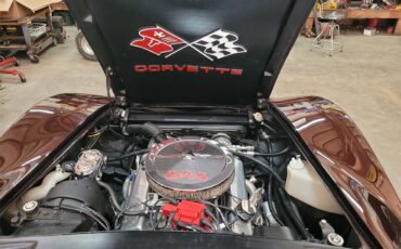 Chevrolet-Corvette-1975-BURGUNDY-WINE-PEARL-OXBLOOD-RED-BURGUNDY-37