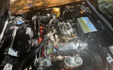 Chevrolet-Corvette-1975-Gold-Tan-6